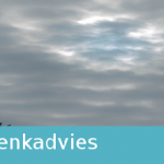 denkadvies