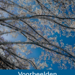 voorbeelden